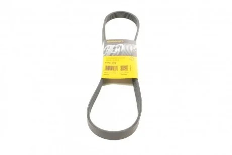 Ремень поликлиновый PSA Berlingo Partner II 1,6d 08>, Ford Fiesta 1,4d 08> ContiTech Contitech 6PK976