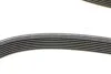 Ремень поликлиновый Audi Q7 3,6FSI 06>10, VW Touareg 3,6FSI 06>, 10> ContiTech Contitech 7DPK2074 (фото 3)