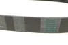 Ремень поликлиновый Fiat Ducato 2,3D 06>, 11>, 15> ContiTech Contitech 7PK1076 (фото 3)