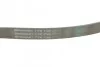 Ремень поликлиновый Nissan Note, Tiida 1,6i 06> ContiTech Contitech 7PK1145 (фото 3)