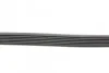 Ремень поликлиновый Nissan Qashqai 1,6i 07> ContiTech Contitech 7PK1153 (фото 2)