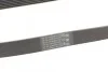 Ремень поликлиновый Nissan Qashqai 1,6i 07> ContiTech Contitech 7PK1153 (фото 3)