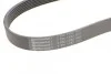 Ремень поликлиновый Nissan Qashqai 1,6i 07> ContiTech Contitech 7PK1153 (фото 4)
