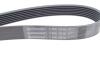 Ремень генератора поликлиновый CONTINENTAL Contitech 7PK1516 (фото 3)