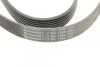 Ремень поликлиновый Lexus GS300 05>11, RX350 08> ContiTech Contitech 7PK1549 (фото 4)