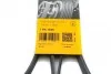 Ремень поликлиновый Lexus GS300 05>11, RX350 08> ContiTech Contitech 7PK1549 (фото 6)