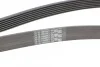 Ремень поликлиновый Honda Accord 2,0i 08> ContiTech Contitech 7PK1635 (фото 3)