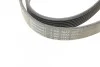 Ремень поликлиновый Nissan Patrol 3,0d 00>, Renault Master 3,0d 05> ContiTech Contitech 7PK1642 (фото 3)