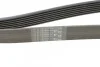 Ремень поликлиновый Nissan Patrol 3,0d 00>, Renault Master 3,0d 05> ContiTech Contitech 7PK1642 (фото 4)