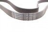 Ремень генератора поликлиновый CONTINENTAL Contitech 7PK1666 (фото 3)