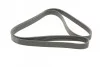 Ремень поликлиновый Toyota Camry V40 2,4i 07> ContiTech Contitech 7PK1910 (фото 5)