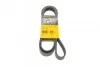 Ремень поликлиновый Renault Master 3,0d 03>06 ContiTech Contitech 7PK1920 (фото 1)