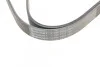 Ремень поликлиновый Toyota Rav4 2,0i 00>06, LC120 Prado 3,0d 02>09 ContiTech Contitech 7PK1933 (фото 4)