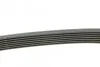 Ремень поликлиновый MB ML164 280D 350CDI 08> ContiTech Contitech 7PK2035 (фото 2)