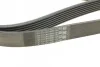 Ремень поликлиновый MB ML164 280D 350CDI 08> ContiTech Contitech 7PK2035 (фото 3)