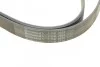 Ремень поликлиновый MB ML164 280D 350CDI 08> ContiTech Contitech 7PK2035 (фото 4)