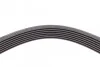 Ремень поликлиновый Honda Civic 1,8i 06>, CR-V 2,0i 07> ContiTech Contitech 7PK2061 (фото 4)