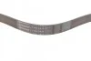 Ремень поликлиновый Mitsubishi Pajero 3,8i 06> ContiTech Contitech 7PK2418 (фото 2)