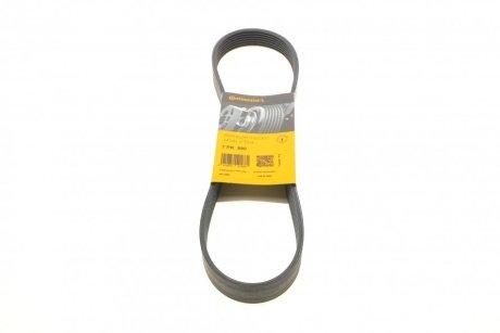 Ремень поликлиновый(приводной) Contitech 7PK880