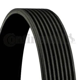 Ремінь поліклиновий Contitech 8PK1162 EXTRA