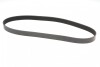 Ремень генератора поликлиновый CONTINENTAL Contitech 8PK1226 (фото 5)