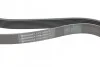 Ремень поликлиновый MB Vario OM904 (+AC) Contitech 8PK2080 (фото 3)