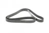 Ремень поликлиновый MB Vario OM904 (+AC) Contitech 8PK2080 (фото 4)