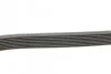 Пас поліклиновий MB S-class (W140) Contitech 8PK2440 (фото 2)