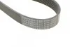 Пас поліклиновий MB S-class (W140) Contitech 8PK2440 (фото 4)