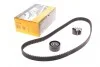 Комплект ремня ГРМ PSA Berlingo Partner 1,6 HDI 05>08, 08>00/10 ContiTech Contitech CT1092K1