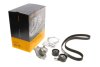 Комплект ремня ГРМ с помпой PSA Berlingo Partner 1,6HDI 05>08, 08>, Jumpy Expert 1,6HDi 07> Contitech CT1092WP1 (фото 1)