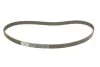 Комплект газорозподільчого механізму Contitech CT1167WP2PRO (фото 2)