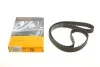 Ремень ГРМ CONTINENTAL Contitech CT1229 (фото 1)