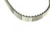 Комплект ремня ГРМ Ford Fiesta Fusion 1,25i 1,4i 1,6i >04/05, Focus II 1,4i 1,6i >04/05 ContiTech Contitech CT881K2 (фото 3)