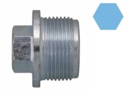 Фото 1 - пробка піддону картера CORTECO 220076H Пробка піддону картера CORTECO 220076H (фото 1)