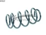 Пружина подвески передняя (кратно 2) NISSAN Qashqai 1.5 DCI-2.0 4x4 (07-14) CS G CS Germany 14876527 (фото 1)