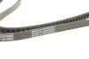 Ремень генератора клиновый DAYCO 13A1500C (фото 4)