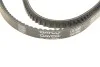 Ремень генератора клиновый DAYCO 13A1500C (фото 5)