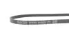 Ремень поликлиновый(приводной) DAYCO 3PK860S (фото 4)