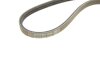 Ремень поликлиновый(приводной) DAYCO 3PK915 (фото 5)