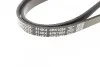 Ремень поликлиновый(приводной) DAYCO 4PK1054 (фото 3)
