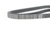 Ремень поликлиновый(приводной) DAYCO 4PK1710 (фото 4)