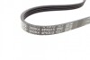 Ремень генератора поликлиновый DAYCO 4PK915 (фото 2)