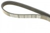 Ремень генератора поликлиновый DAYCO 5PK1000 (фото 4)