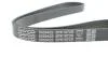 Ремень поликлиновый(приводной) DAYCO 5PK1072S (фото 4)