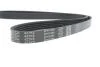 Ремень поликлиновый(приводной) DAYCO 5PK1084 (фото 4)