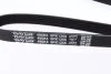 Ремень поликлиновый(приводной) DAYCO 5PK1255 (фото 2)