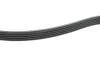 Ремень поликлиновый(приводной) DAYCO 5PK1572 (фото 3)