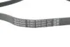 Ремень поликлиновый(приводной) DAYCO 5PK1572 (фото 4)