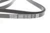Ремень генератора поликлиновый DAYCO 5PK1765S (фото 3)